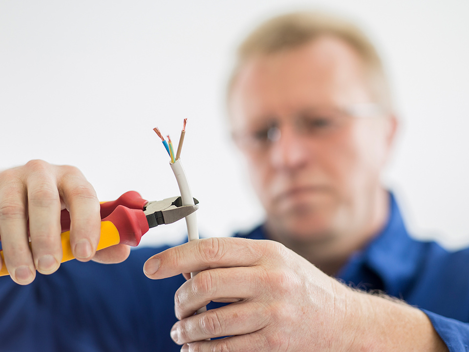 C F021729 bei Elektro Tischler Reinhard in Oberschneiding